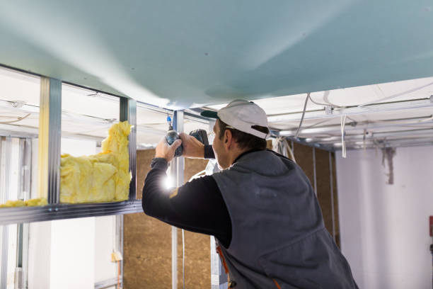 Best Insulation Removal  in Memphis, TX