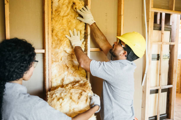 Best Insulation Inspection Services  in Memphis, TX