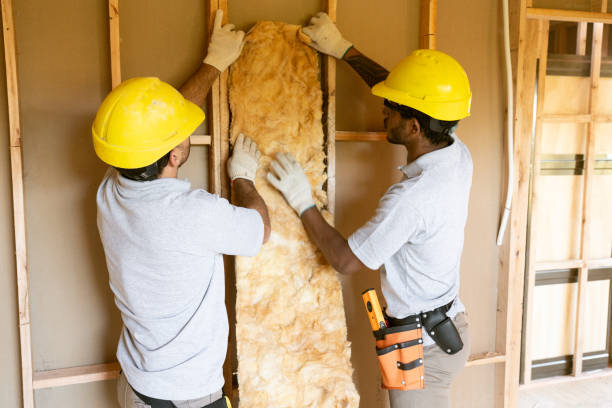 Best Cellulose Insulation  in Memphis, TX