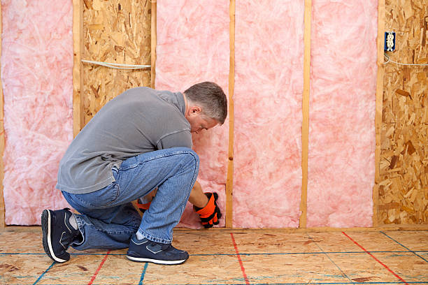 Best Fiberglass Insulation  in Memphis, TX