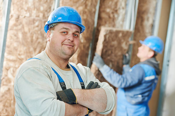 Best Local Insulation Services  in Memphis, TX